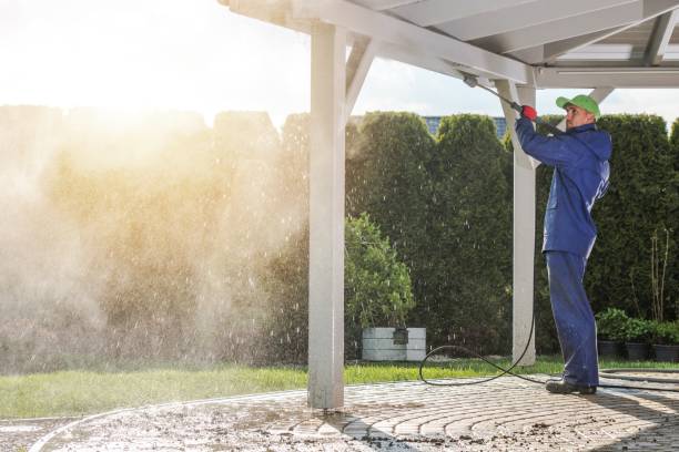 Best House Exterior Washing  in Mount Clemens, MI