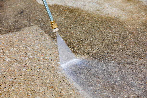Best Spring Cleaning  in Mount Clemens, MI